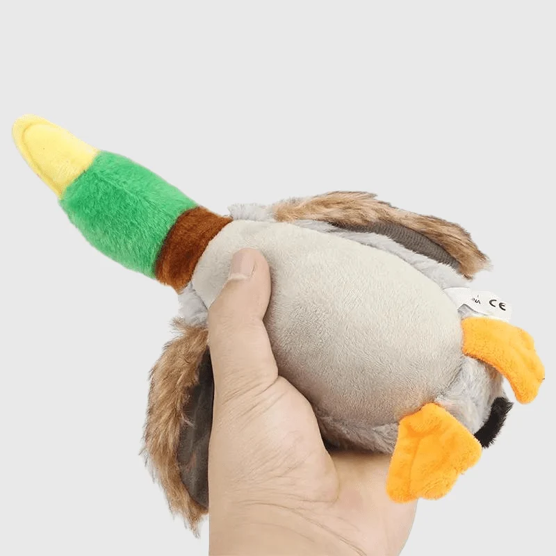 Jouet Canard Peluche Siffleur Chien