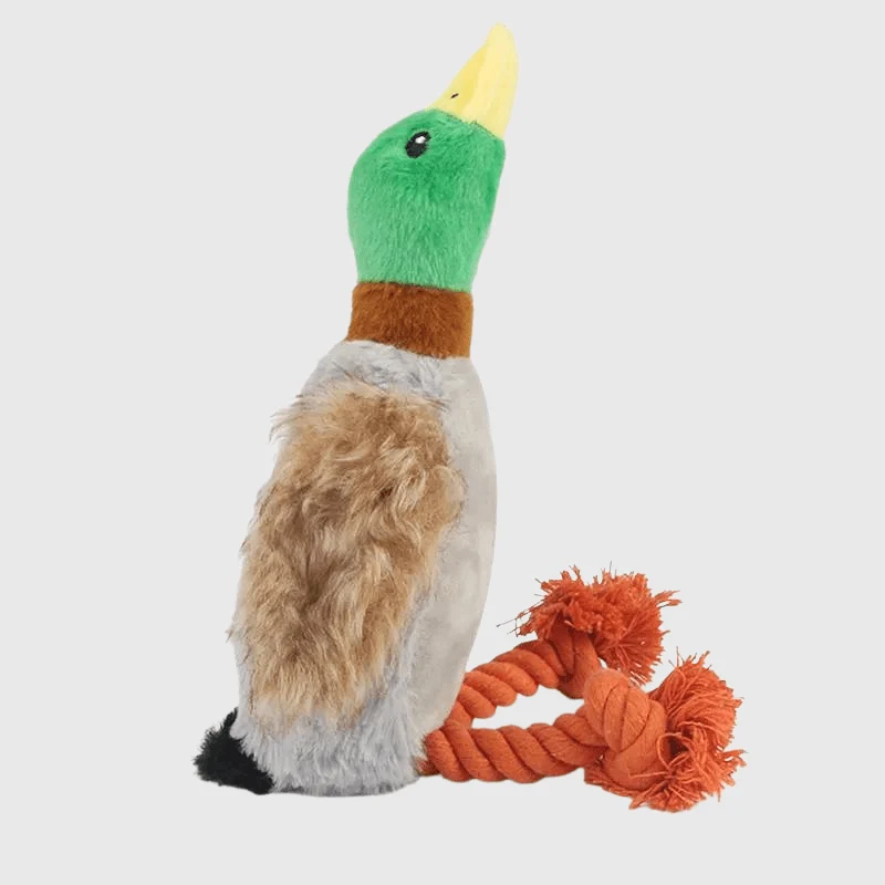Jouet Canard Peluche Siffleur Chien