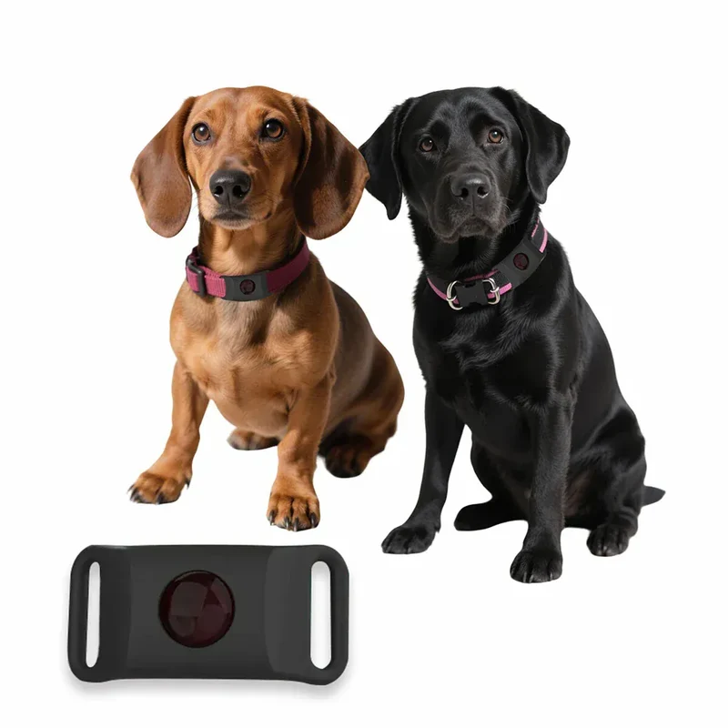 Pendentif Anti-Puces Naturel Chien Waterproof