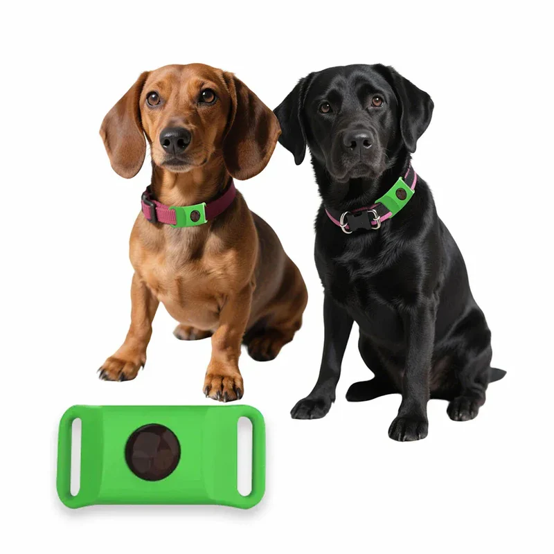 Pendentif Anti-Puces Naturel Chien Waterproof
