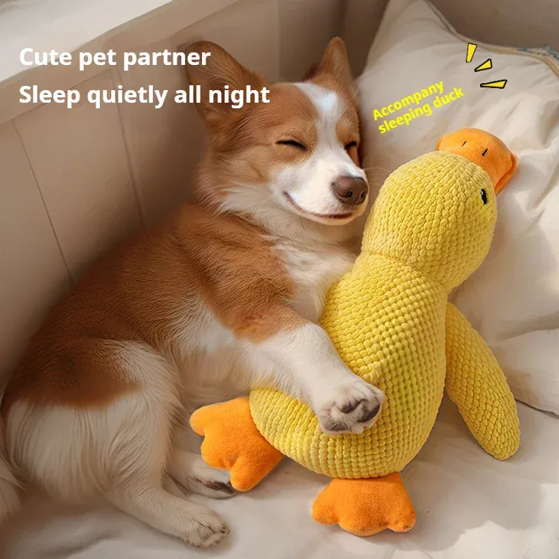 Jouet Canard Sonore Résistant Gros Chien