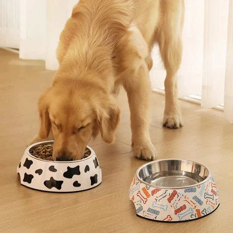 Gamelle Inox Design Gros Chien Antidérapante
