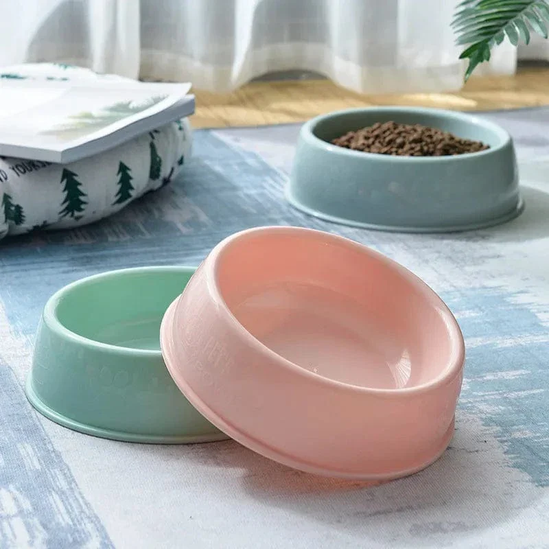 Gamelle Plastique Durable Colorée Chien