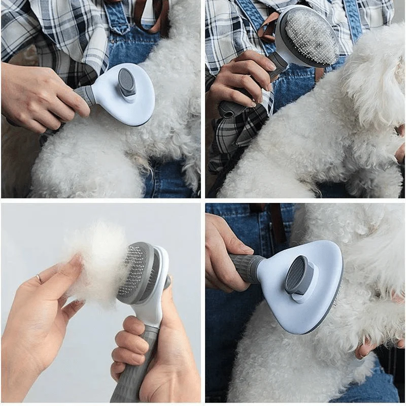 Brosse Toilettage Poils Longs Chien