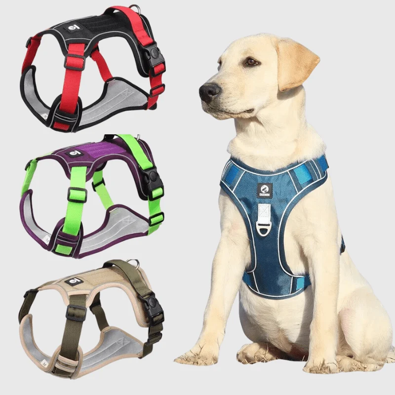 Harnais Anti-Traction Robuste Gros Chien Réglable