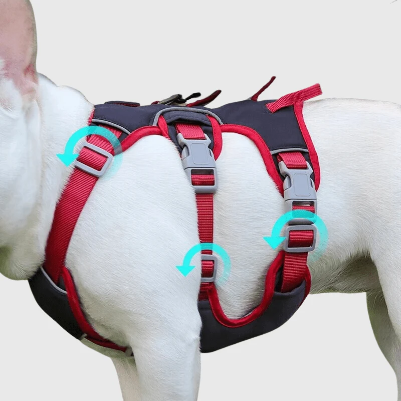 Harnais Triple Sangle Anti-Traction Chien