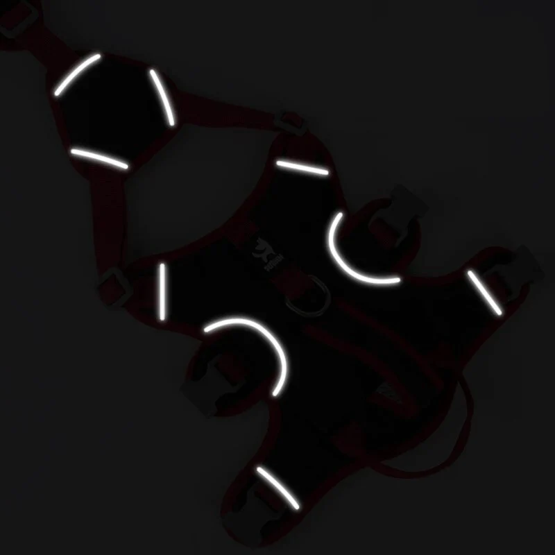 Harnais Triple Sangle Anti-Traction Chien