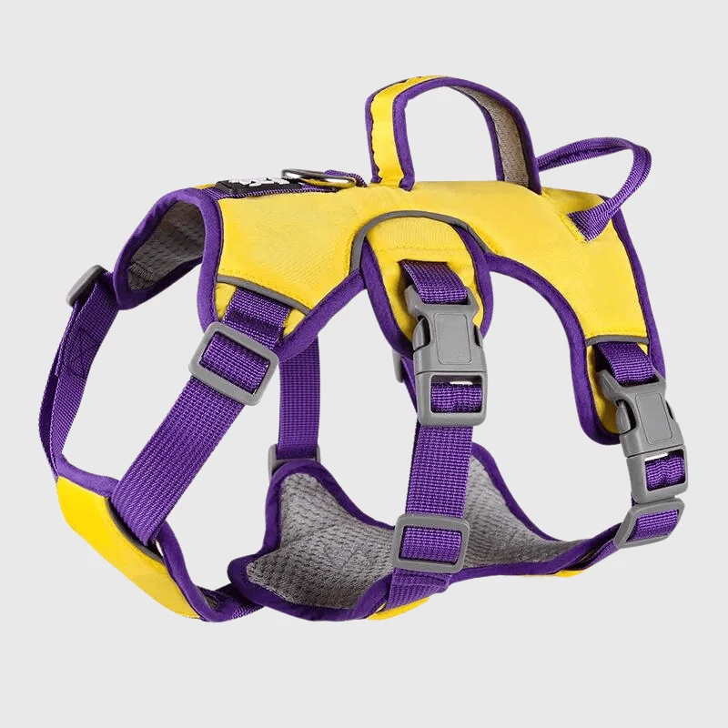 Harnais Triple Sangle Anti-Traction Chien