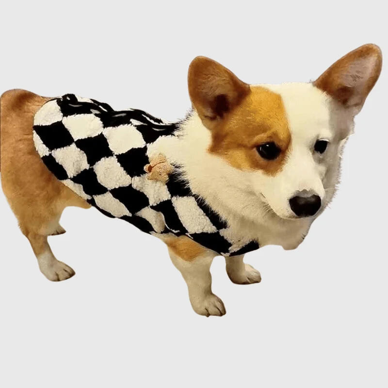 Pull Polaire Laine Chien Hiver Confort