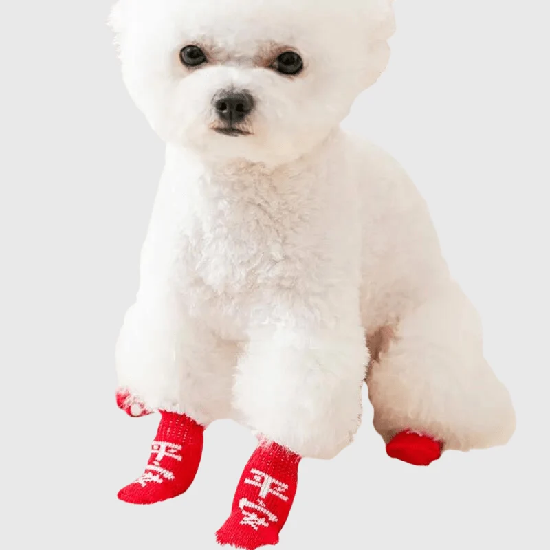 Chaussettes Antidérapantes Rouges Gros Chien