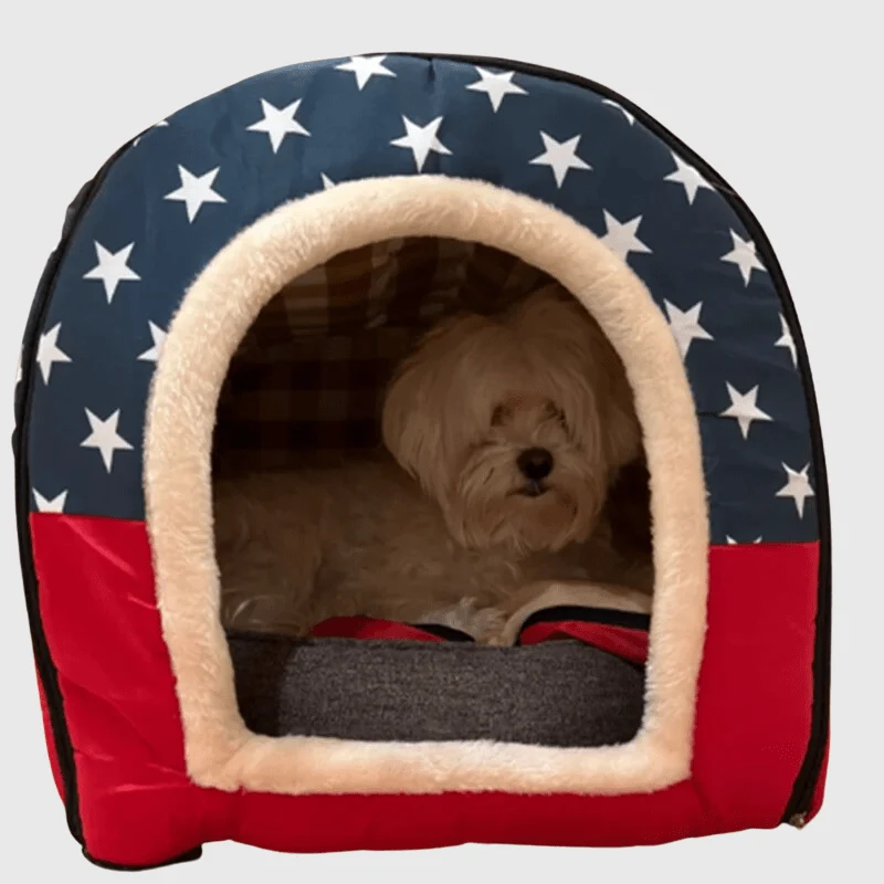 Niche Intérieure Design Américain Chien