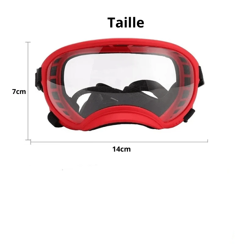 Lunettes Protection UV Vent Chien