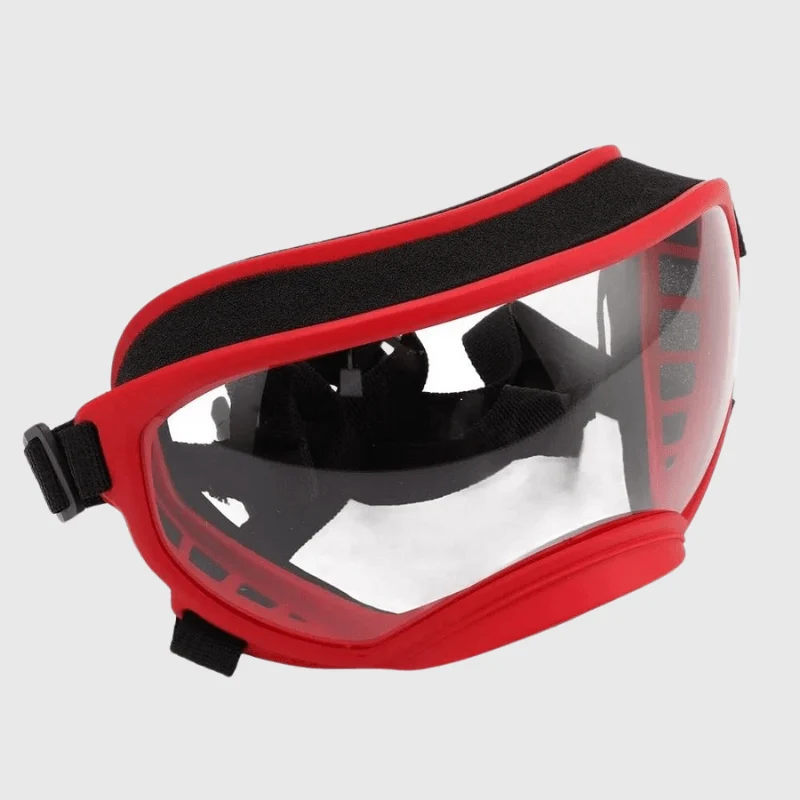 Lunettes Protection UV Vent Chien