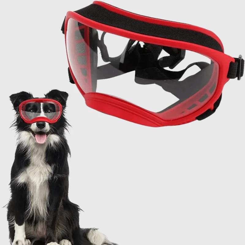 Lunettes Protection UV Vent Chien