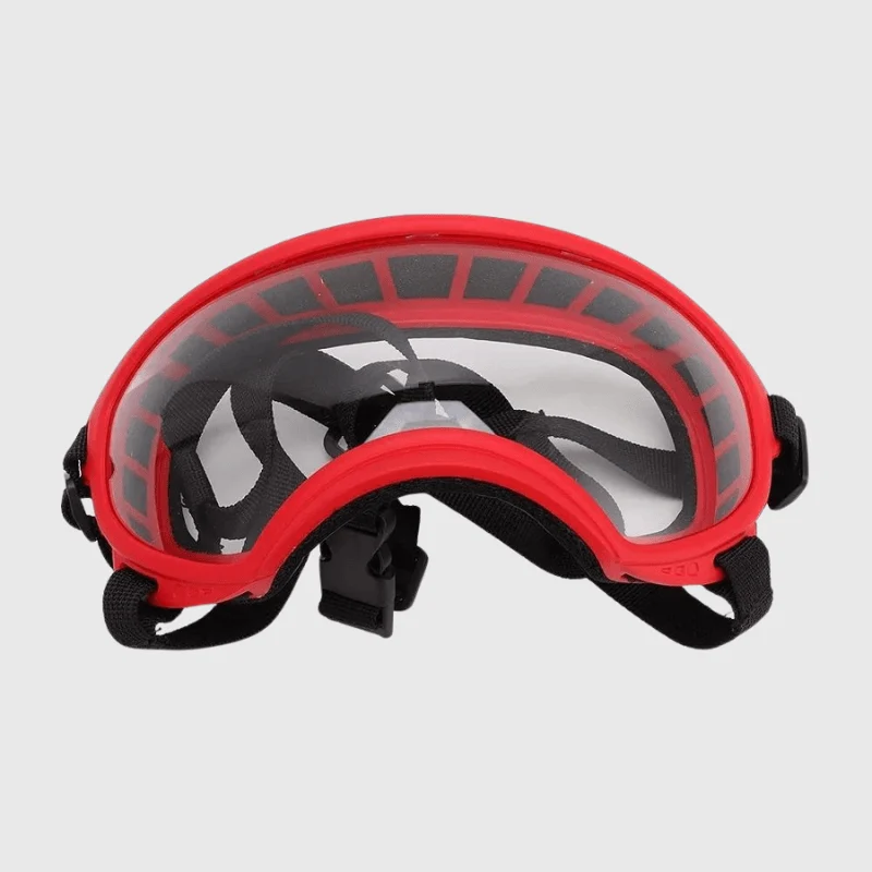 Lunettes Protection UV Vent Chien