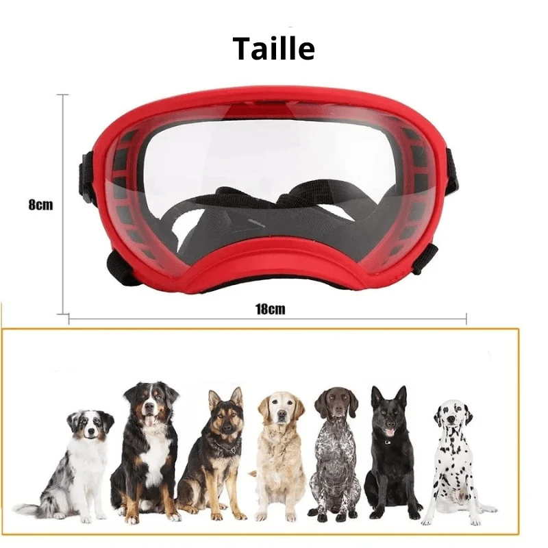 Lunettes Protection UV Vent Chien