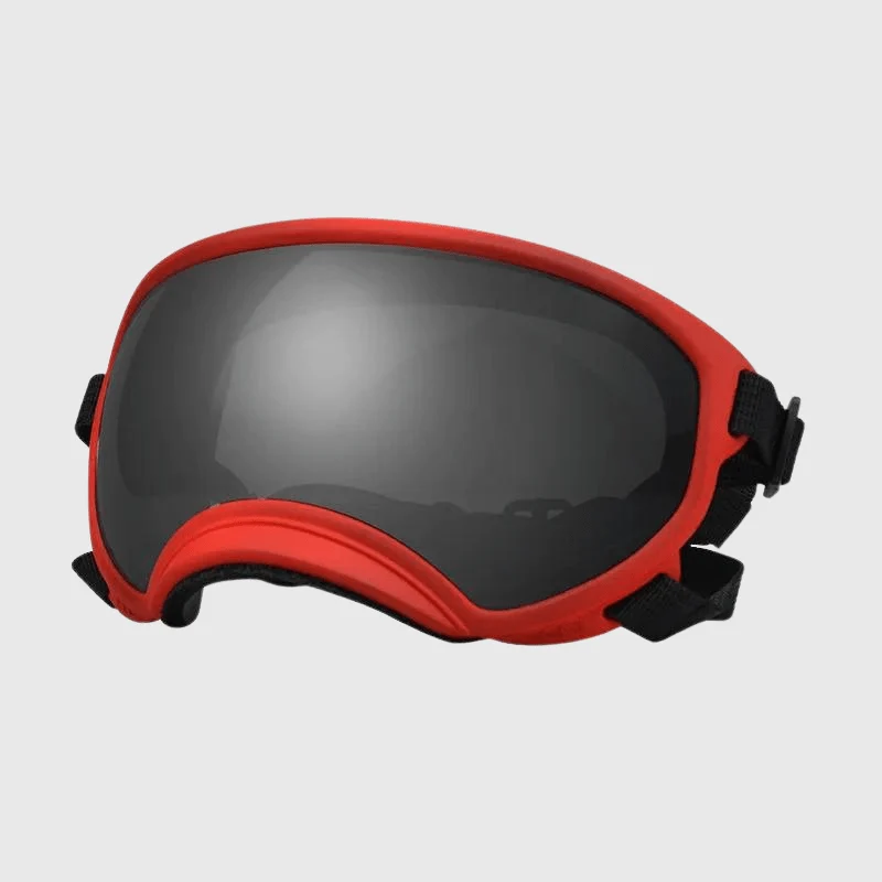 Lunettes Protection UV Vent Chien