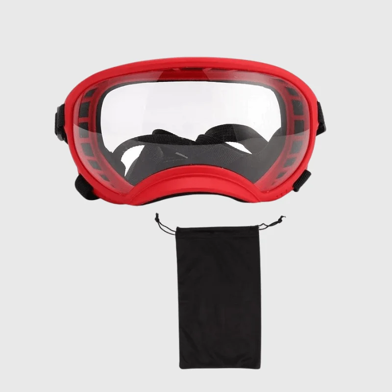 Lunettes Protection UV Vent Chien