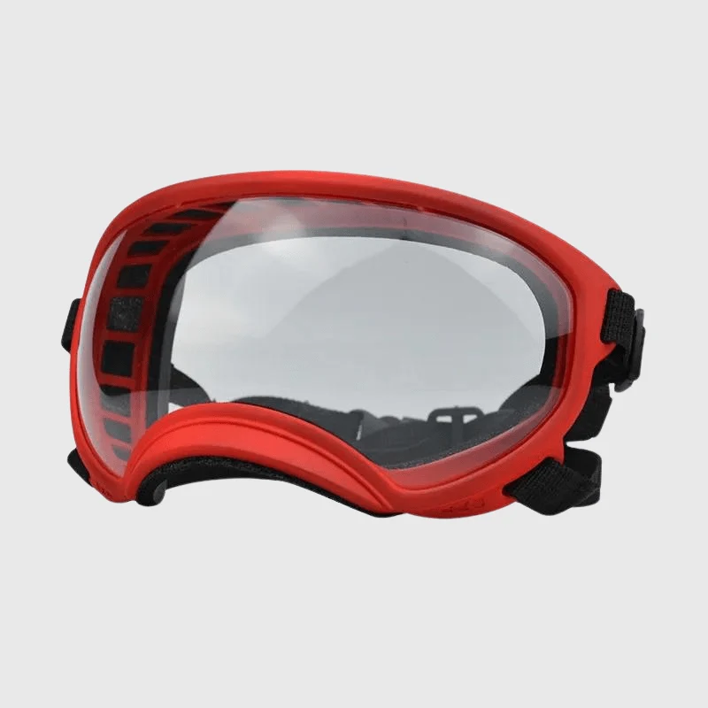 Lunettes Protection UV Vent Chien