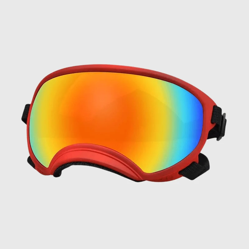 Lunettes Protection UV Vent Chien