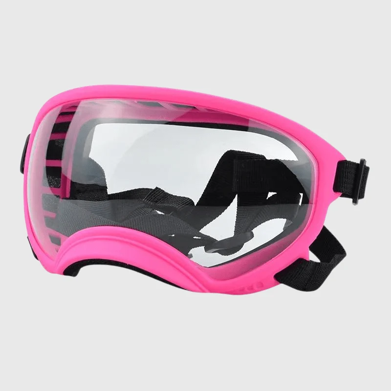 Lunettes Protection UV Vent Chien