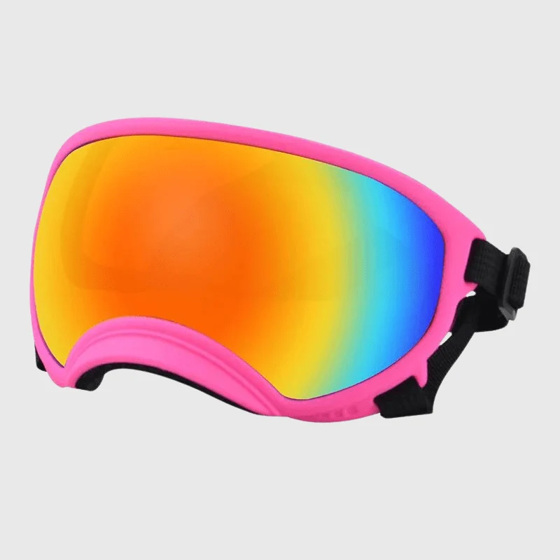 Lunettes Protection UV Vent Chien