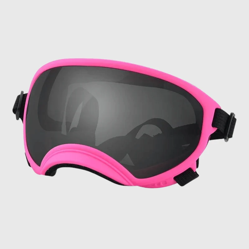 Lunettes Protection UV Vent Chien