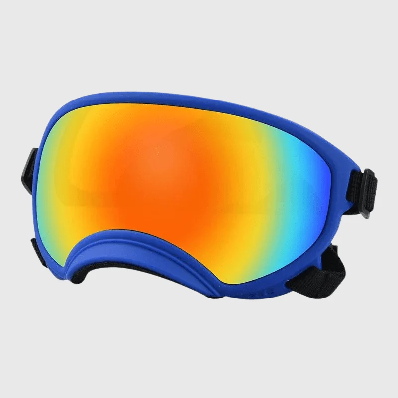 Lunettes Protection UV Vent Chien