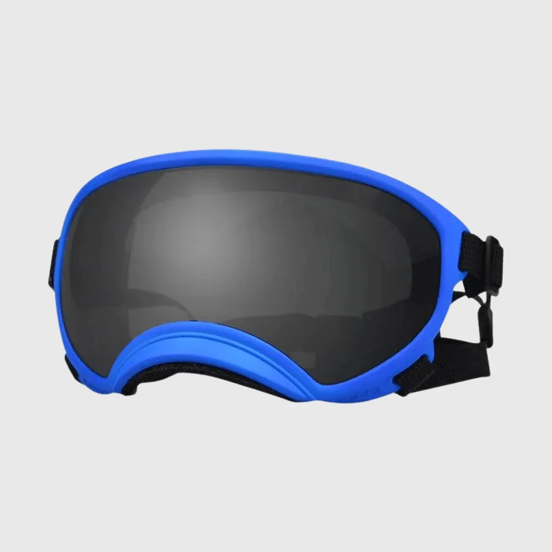 Lunettes Protection UV Vent Chien
