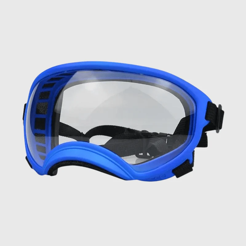 Lunettes Protection UV Vent Chien