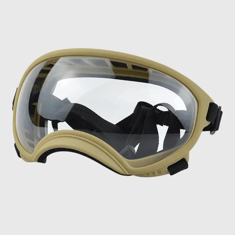 Lunettes Protection UV Vent Chien