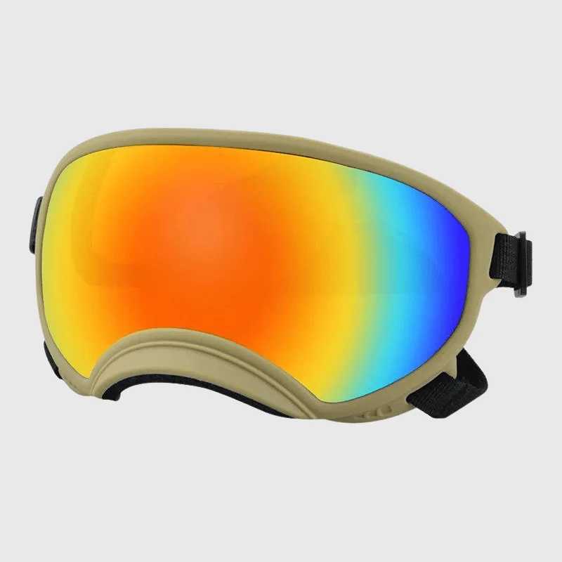 Lunettes Protection UV Vent Chien