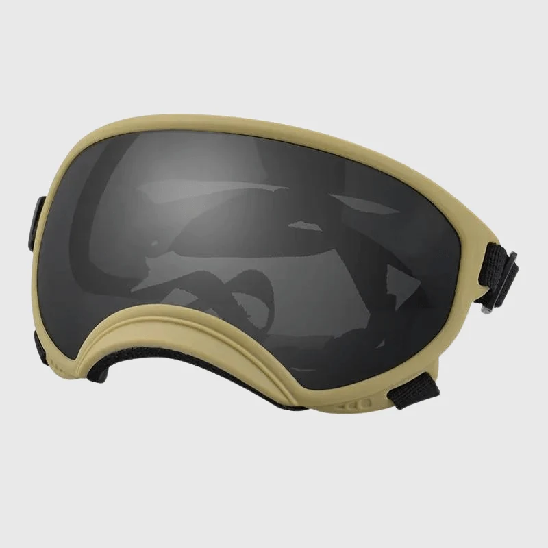 Lunettes Protection UV Vent Chien