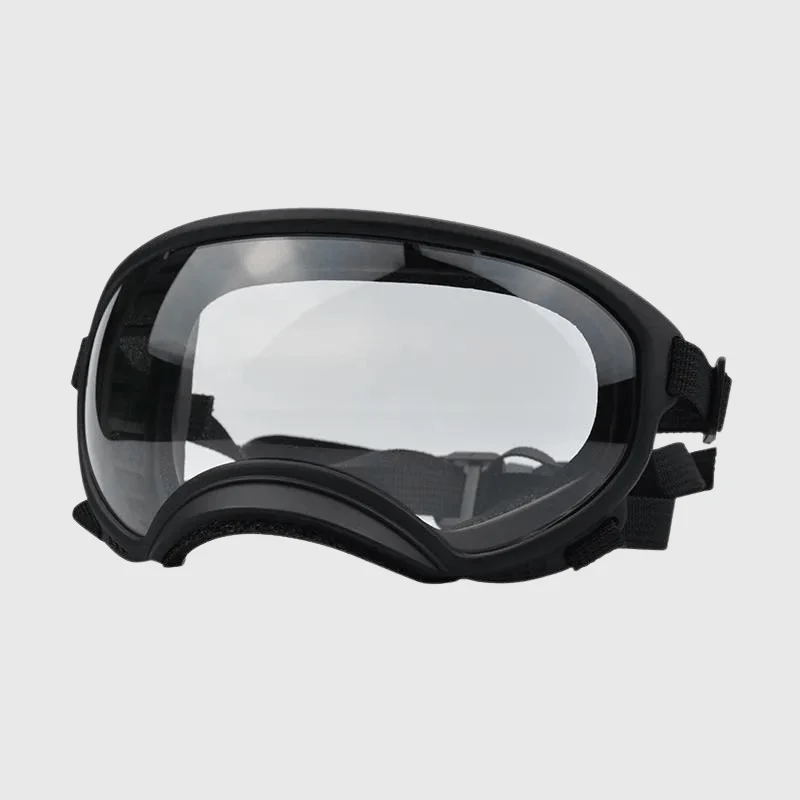 Lunettes Protection UV Vent Chien