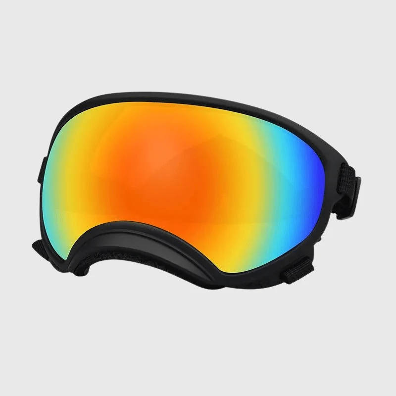 Lunettes Protection UV Vent Chien