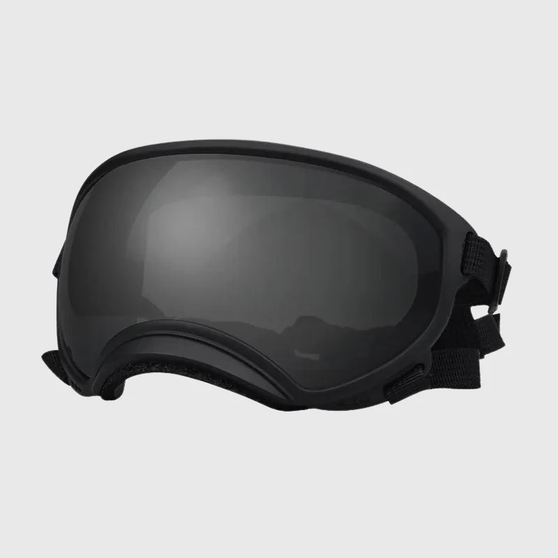 Lunettes Protection UV Vent Chien