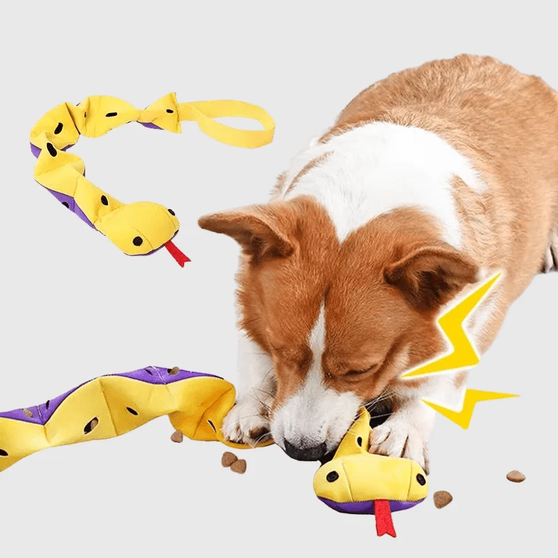 Tapis Fouille Serpent Chien Jeu Olfactif