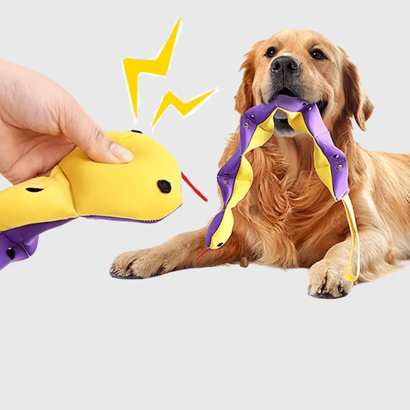 Tapis Fouille Serpent Chien Jeu Olfactif