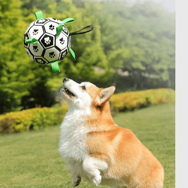 Ballon Anse Résistant Gros Chien Interactif