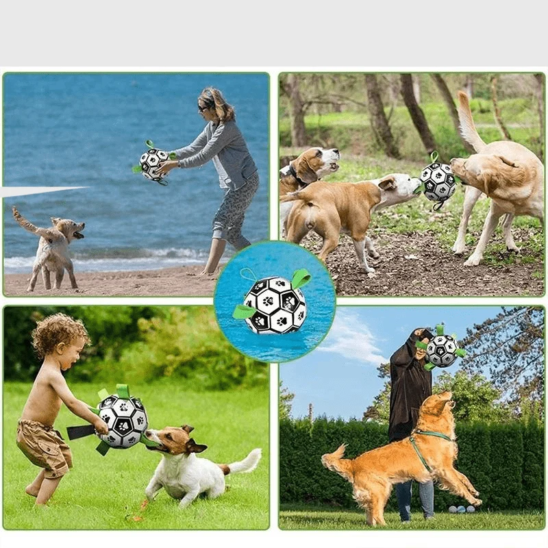 Ballon Anse Résistant Gros Chien Interactif