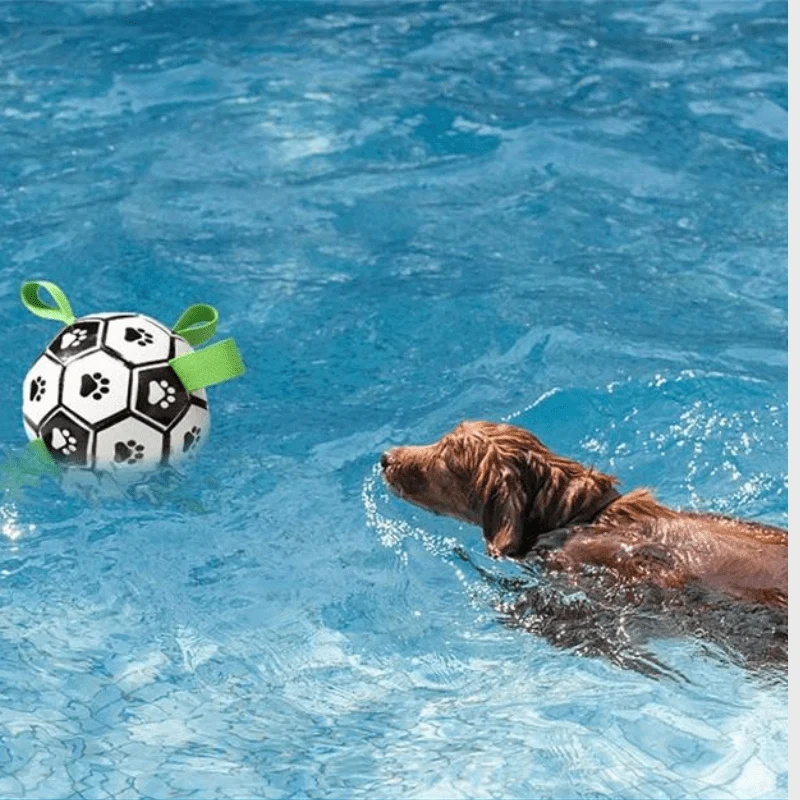 Ballon Anse Résistant Gros Chien Interactif