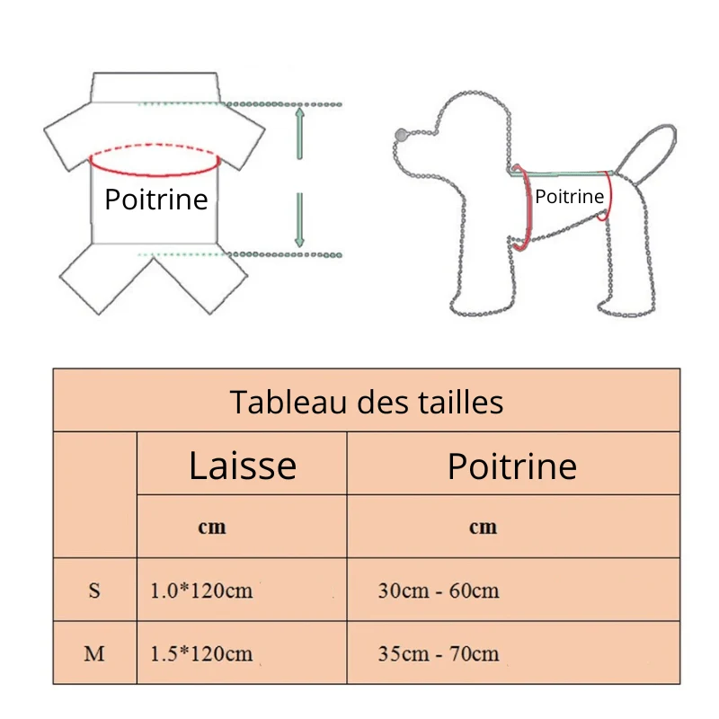 Harnais Froufrou Élégant Petit Chien