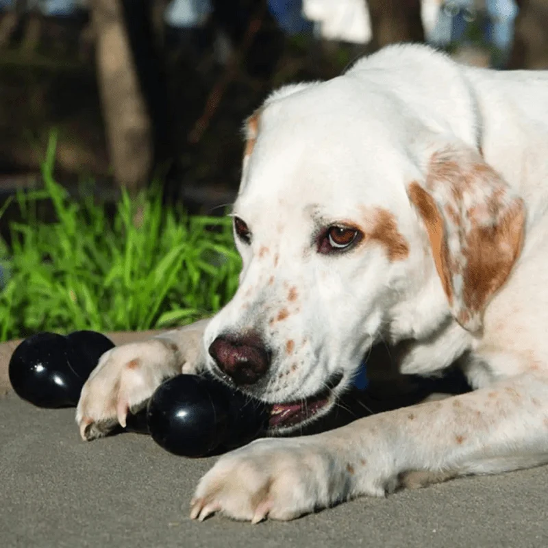 Os Caoutchouc Noir Ultra-Résistant Gros Chien