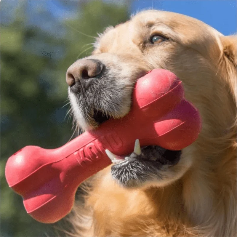 Os Caoutchouc Noir Ultra-Résistant Gros Chien