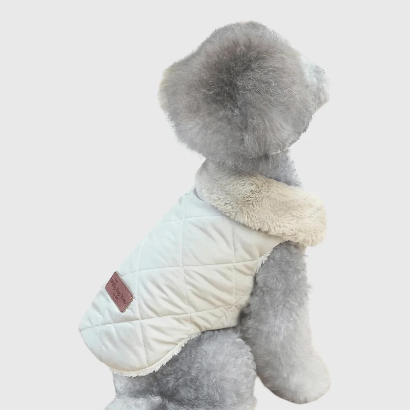 Manteau Hiver Gros Chien Imperméable Chaud