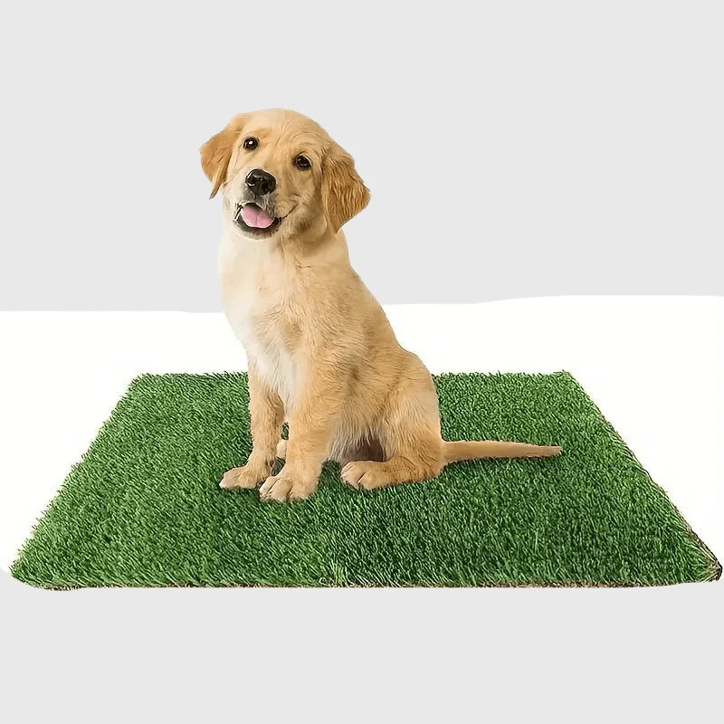 Tapis Hygiénique Chien Appartement
