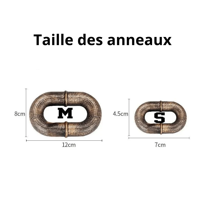 Laisse Chaîne Acier Gros Chien