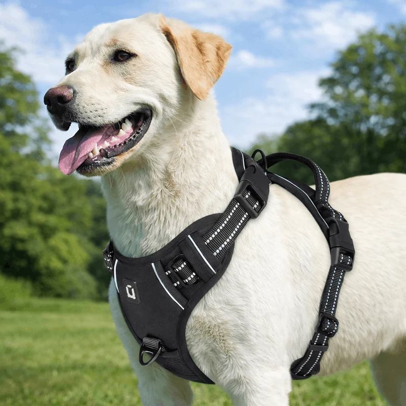 Harnais Anti-Traction Réfléchissant Gros Chien