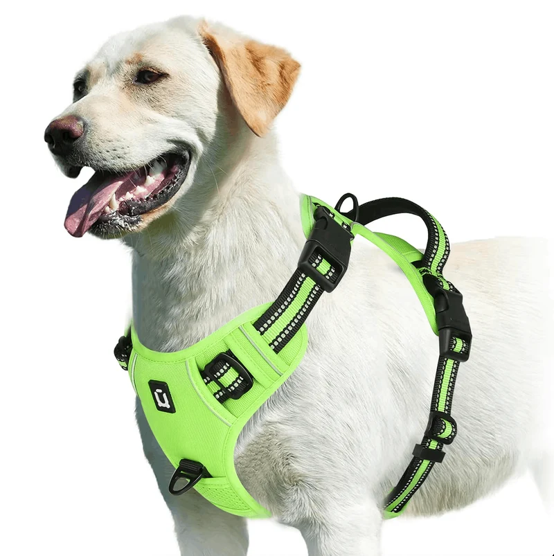 Harnais Anti-Traction Réfléchissant Gros Chien