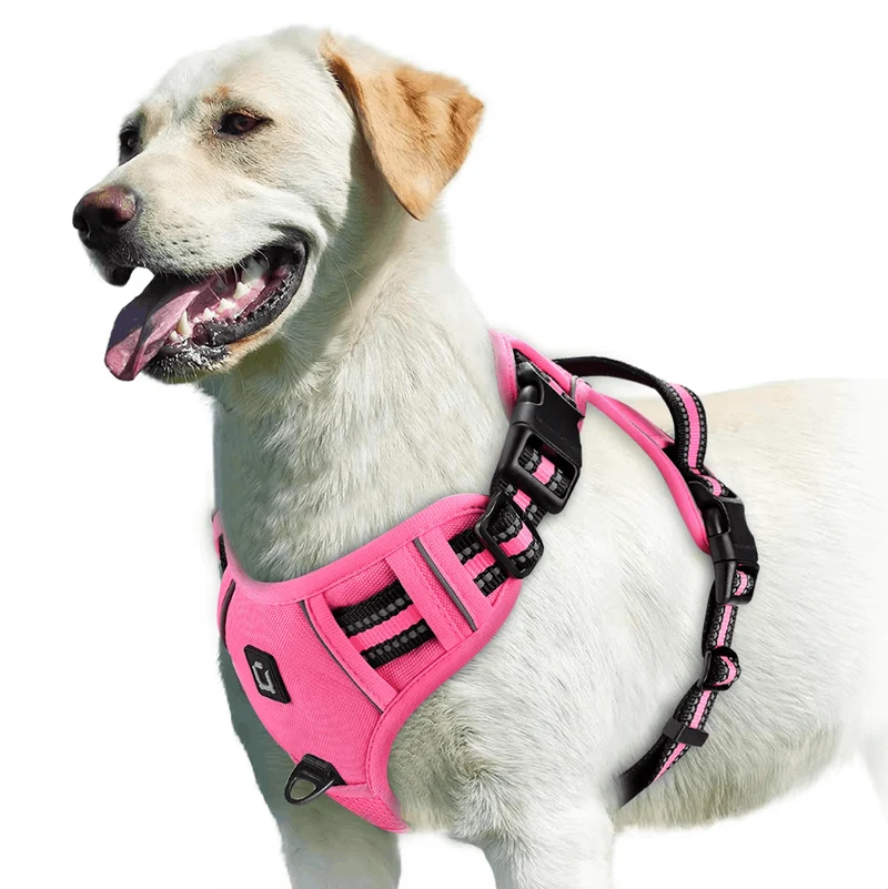 Harnais Anti-Traction Réfléchissant Gros Chien